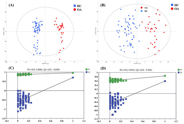 The OPLS-DA 3D score plots based on OA and HC groups samples in (A) positive and (B) negative ionization modes. The corresponding permutation validation plots from (C) positive and (D) negative ionization modes.