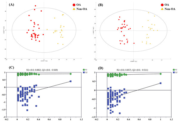 The OPLS-DA 3D score plots based on OA and non-OA samples in (A) positive and (B) negative ionization modes. The corresponding permutation validation plots from (C) positive and (D) negative ion mode models.