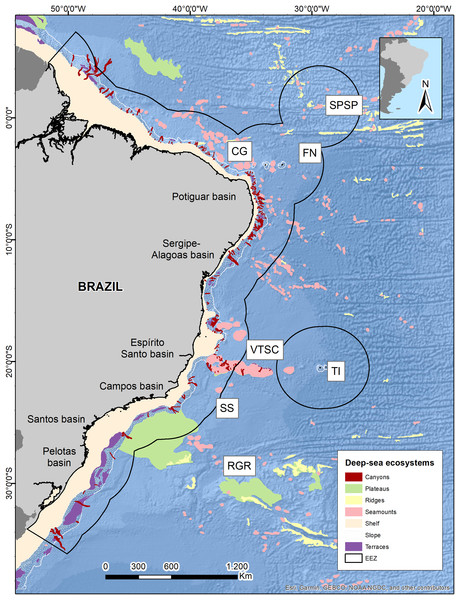 Brazilian continental margin with deep-sea ecosystems.