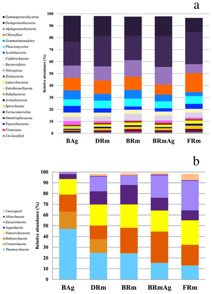 Relative abundance of the microbial communities of sediments associated with five different mangrove forests from Celestún Lagoon.