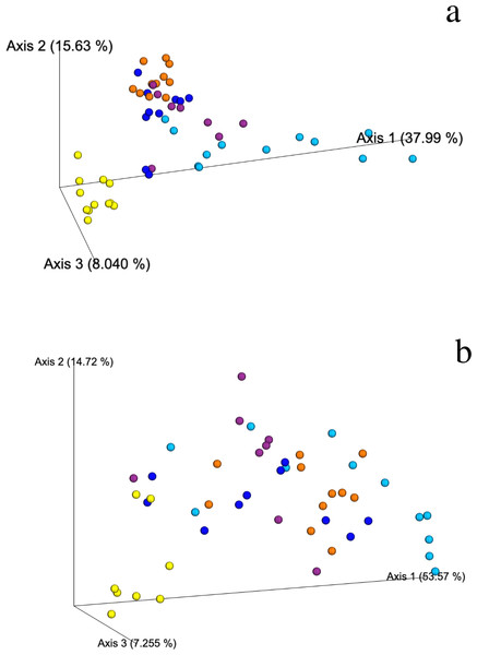 Weighted Unifrac PCoA showing the spatial ordination of ASVs of different ecological types of mangrove forests in Celestún.