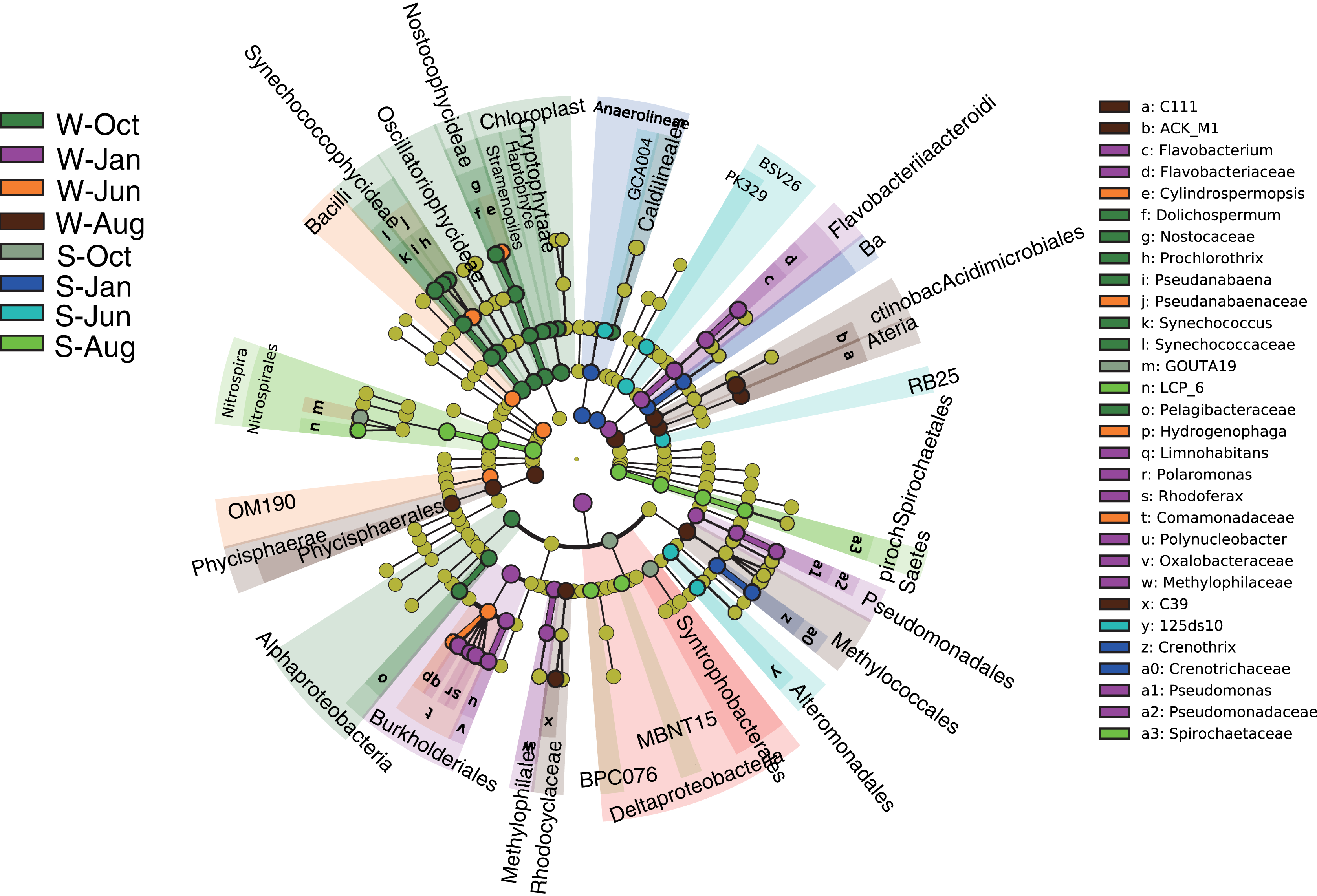 Comparing diversity patterns and processes of microbial community 