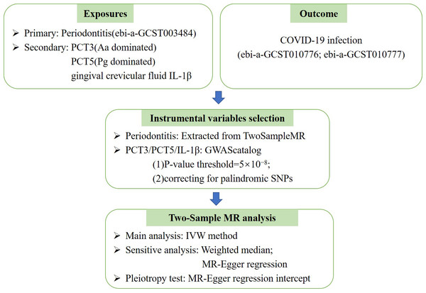 The Mendelian randomization (MR) analysis pipeline of the current study.