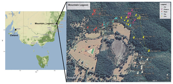 Map showing locations of Mountain Lagoon, NSW and Cleland Wildlife Park, SA.