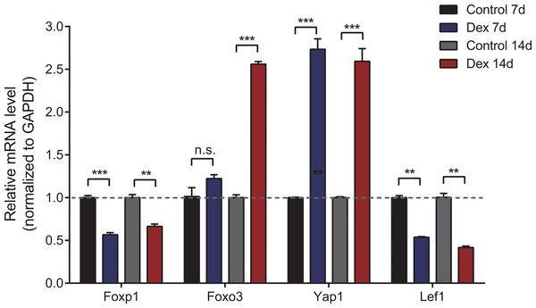 Validation of 4 dif-mRNAs by RT-qPCR.