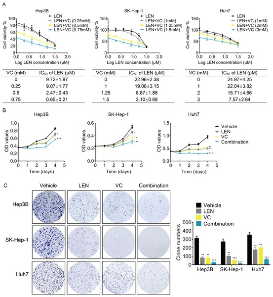 VC enhances the anti-proliferative activity of Lenvatinib in HCC cells.