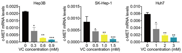 VC suppresses the c-Met mRNA expression.