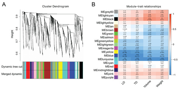 Weighted gene co-expression network analysis of berry development transcriptomes.