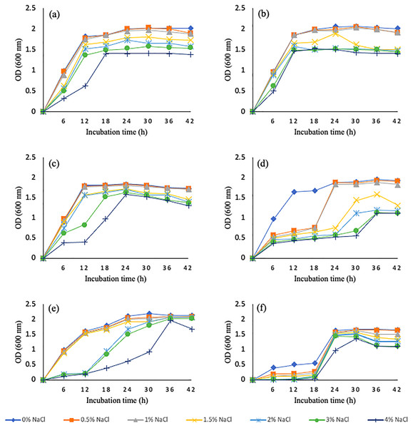 Graphical representation of wheat rhizosphere associated bacteria to tolerate varying salt concentrations.