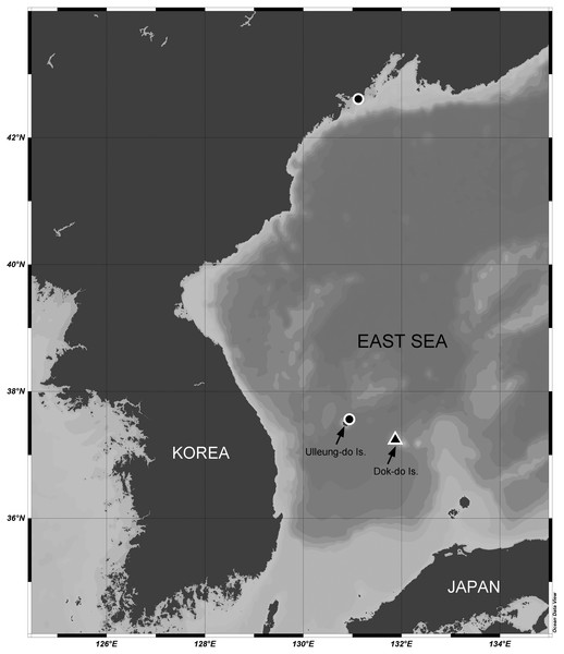 Map of the sampling stations of Stenocaris marcida sp. nov. (filled triangle, ▲) and S. intermedia Itô, 1972 (filled circle, ●).