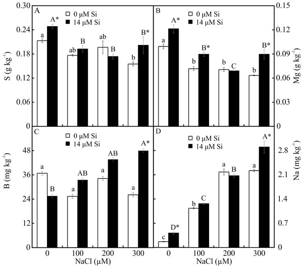 (A–D) Contents of macronutrients and micronutrients in Aechmea blanchetiana plants in the function of NaCl concentrations (0, 100, 200, 300 µM) combined with 0 or 14 µM Si.