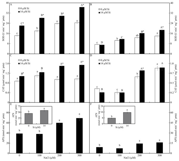 Antioxidant enzyme activity in the leaves (A-C-E) and roots (B-D-F) of Aechmea blanchetiana plants cultivated in vitro in the function of NaCl and Si.