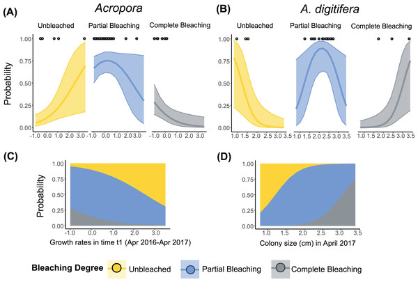 Relationship between the degree of bleaching in 2017 and the growth rates or colony size of Acropora (all Acropora present in the study, including the dominant groups) and A. digitifera.