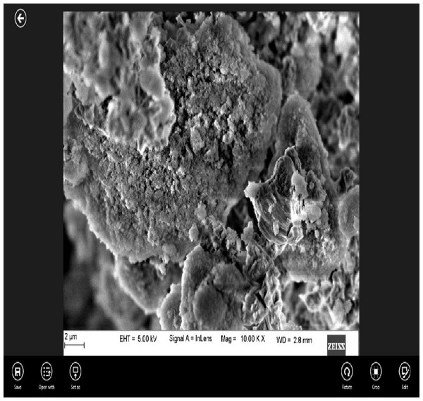 Surface morphology of the experimental cement at 2 µm magnification under SEM.