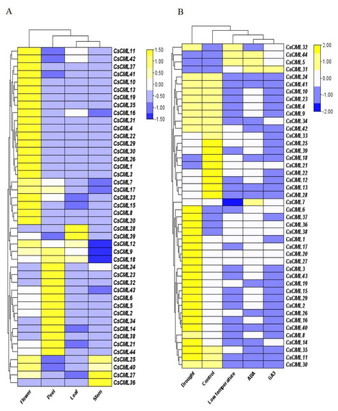The relative expression patterns of CsCML genes in different tissues of cucumber under different conditions.