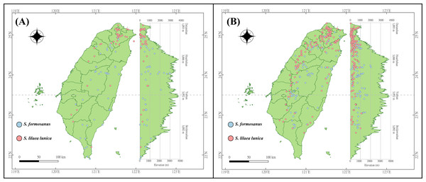 Distribution points of Symbrenthia lilaea formosanus and S. lilaea lunica during two different invasive stages in Taiwan.
