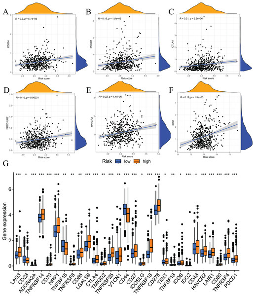 Results of immune checkpoint analysis.