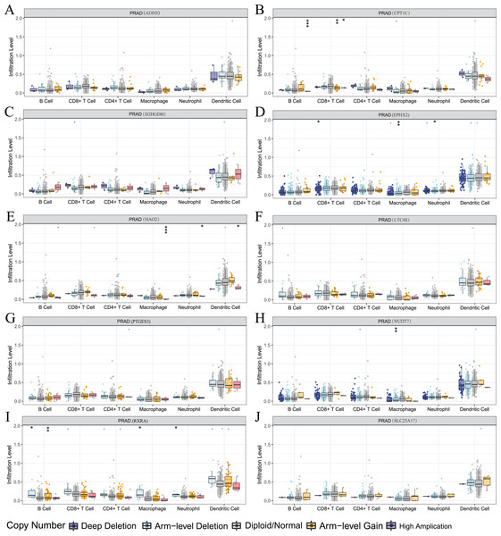 Relationship between signature genes and immune cell infiltration.