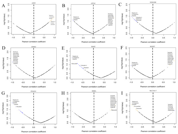 Correlation study between the expression of signature genes in PCa cell lines and partial antitumor drug sensitivity.