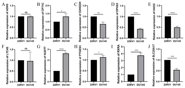 Validation of the expression of signature genes in PCa cell lines.