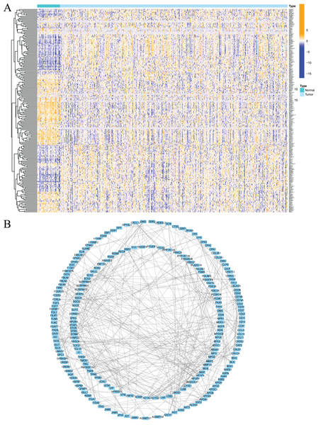 Expression of fatty acid metabolism-related genes in PCa tissues compared with normal kidney tissues and their interactions.