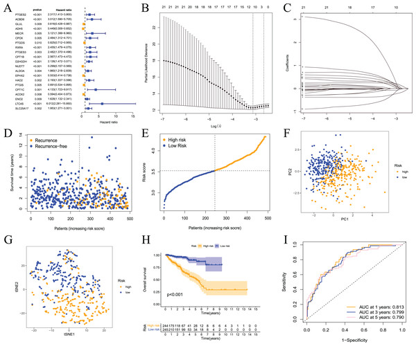 Prognostic risk model constructed based on TCGA training set.