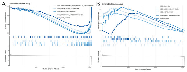 Significant enrichment results from GSEA analysis of two groups of patients.