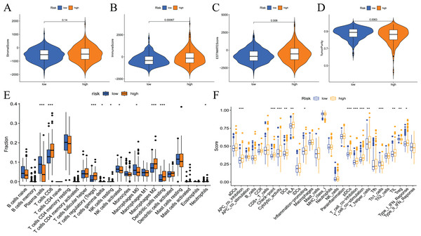 Differences in immune microenvironment and immune cell infiltration between high-and low-risk groups.