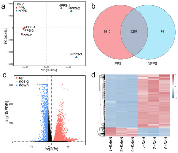 Comparison of gene expression profiles between the PPS and NPPS groups.