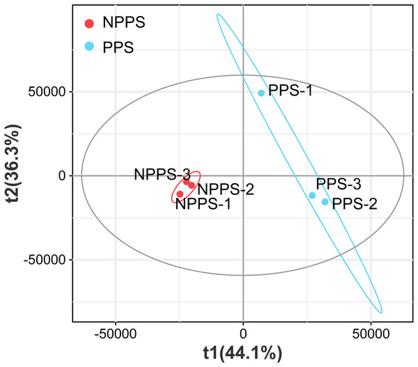 Partial lease square-discriminant analysis (PLS-DA) analysis for visualization of groups’ global metabolic profiles among NPPS and PPS samples.