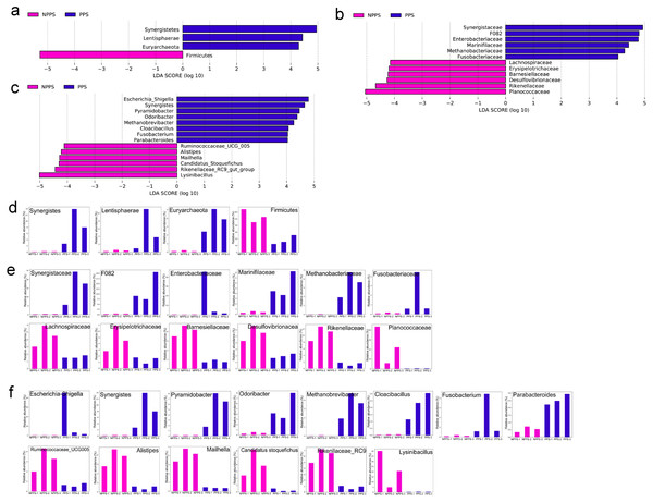 The linear discriminant analysis effect size (LEfSe) analysis of the differentially abundant taxa in PPS and NPPS groups.