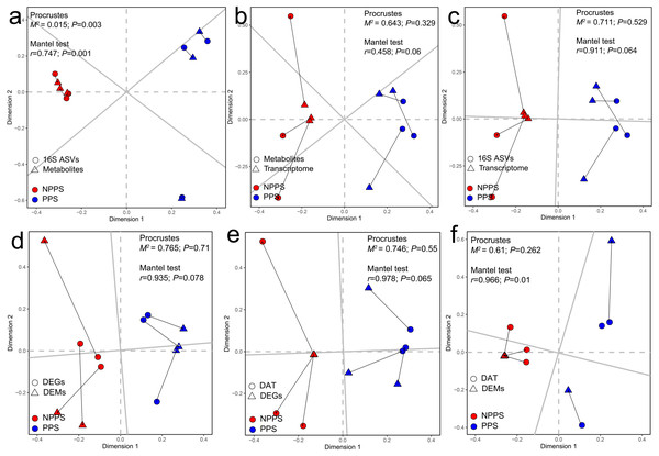 Relationships among the transcriptomic profiles, microbial community structure, and metabolic profiles by Procrustes analysis and Mantel test.