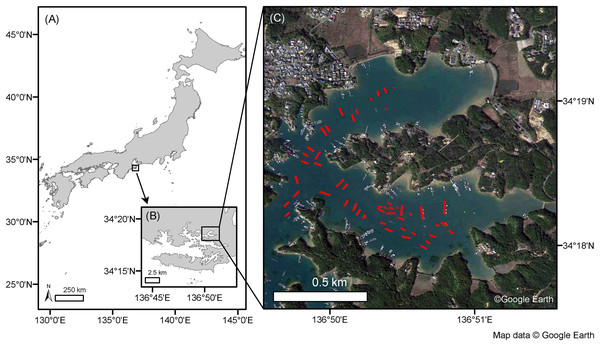 Map of the study site.