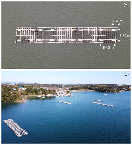 Images of aquaculture rafts.