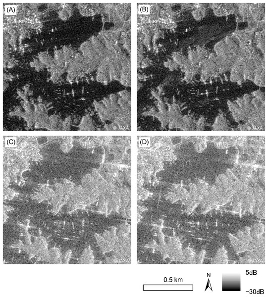 ALOS-2 PALSAR-2 HH single polarization images.