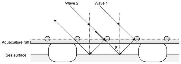 Scattering paths of two incident waves on aquaculture raft.