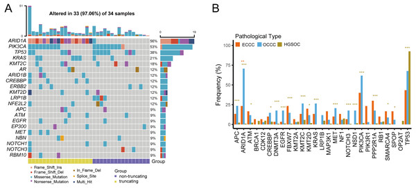 The mutational landscape of OCCC and the difference of high frequency driver mutations in OCCC, HGSOC and ECCC.