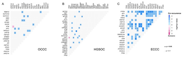 The analysis of mutation gene interaction in OCCC, HGSOC and ECCC.