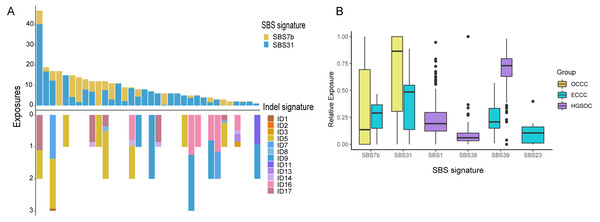 Exposing Contribution of COSMIC signatures in OCCC patients and the distribution of mutational signatures in OCCC, HGSOC and ECCC.