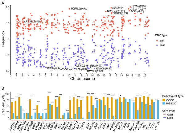 The identify of copy number variations in OCCC and the comparing of the main CNV in genes between OCCC and HGSOC.