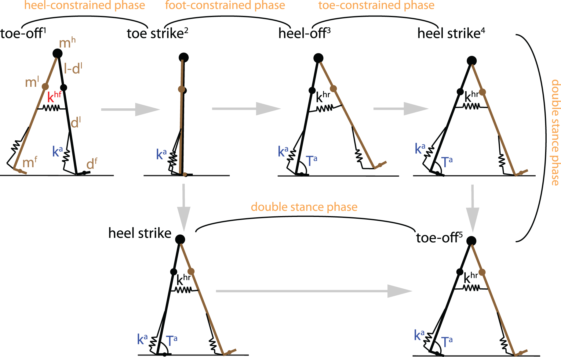 Biomechanical effects of passive hip springs during walking