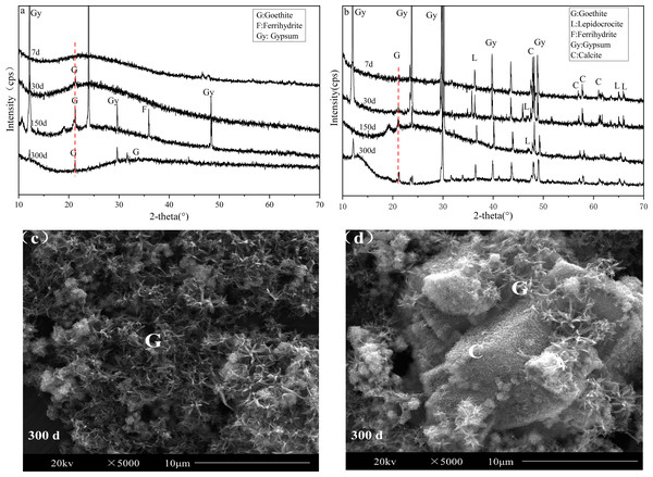 XRD pattern and SEM images of sediments of the AMD precipitates formed after S (A, C) and SS limestone (B, D) addition.