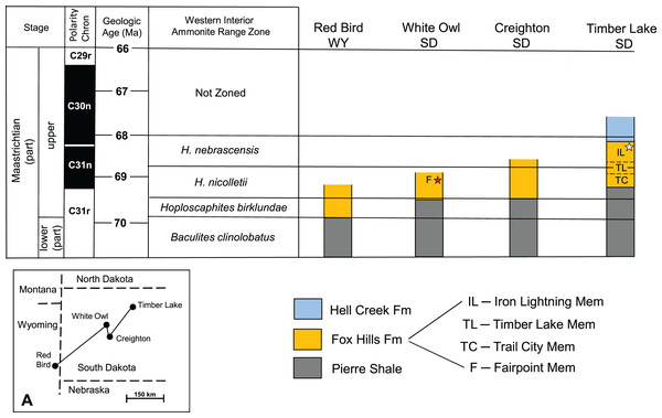 Generalized biostratigraphy of the Fox Hills Formation across western South Dakota.