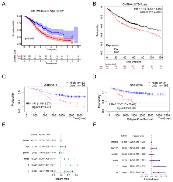 Lung adenocarcinoma with high CMTM6 expression has a poor prognosis.