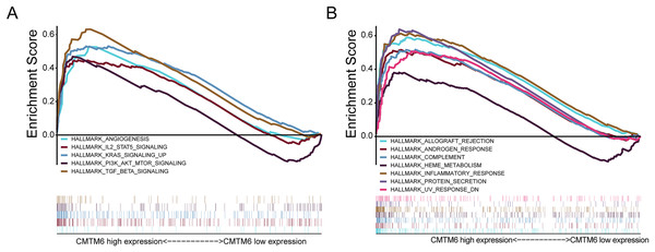 Analysis of signaling pathways by using GSEA.