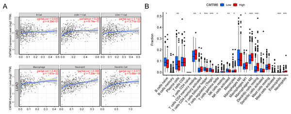 Increased CMTM6 expression increased immune cell infiltration.