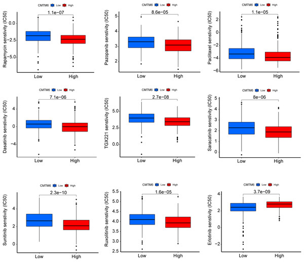 CMTM6 correlates with the chemosensitivity of LUAD.