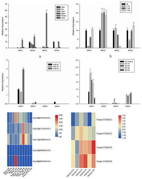 MAX1–MAX4 gene expression in tobacco.