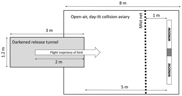 Schematic of the flight tunnel.