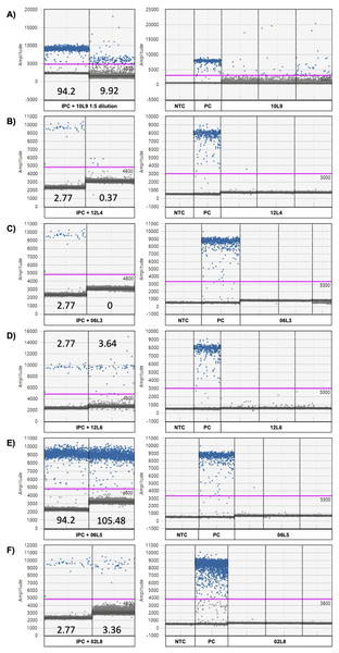 ddPCR amplitude graphs of eDNA samples showing strong or minor inhibition.